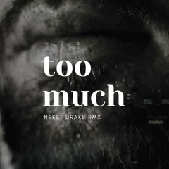 Too Much (Drake Remix)