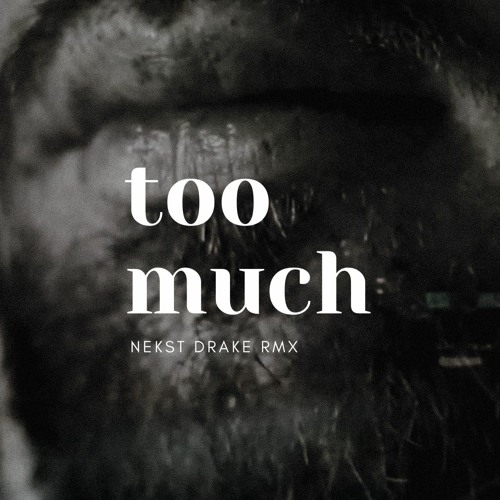 Too Much (Drake Remix)