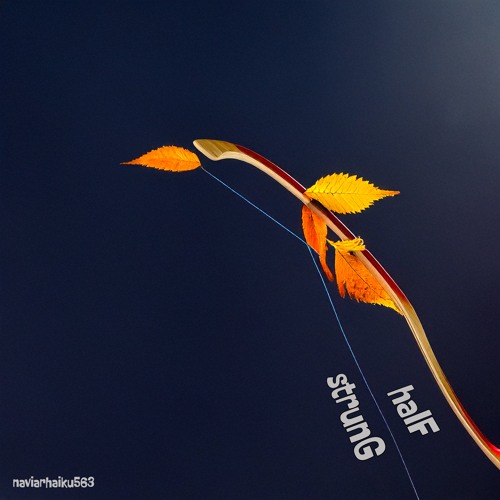halF strunG [naviarhaiku563]