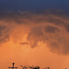 Just Will-ManOnTheMoon (prod. delone x touchthwsky)