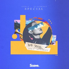 Level 8 & Ali Schwartz - Special