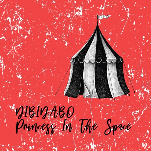 Premiere: DIBIDABO - My Place In The Space (Kapoor Dark Side Of The Moon Remix) [trndmsk]