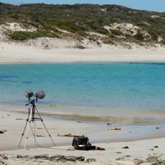 FKISM: Hanson Bay (Kangaroo Island) - October 2019