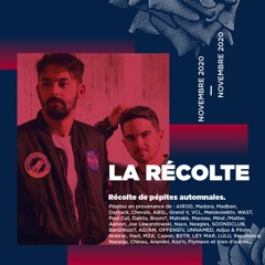 La Récolte - Novembre 2020