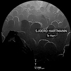 Sjoerd Hartmann - Synth Rave [ITU2080]