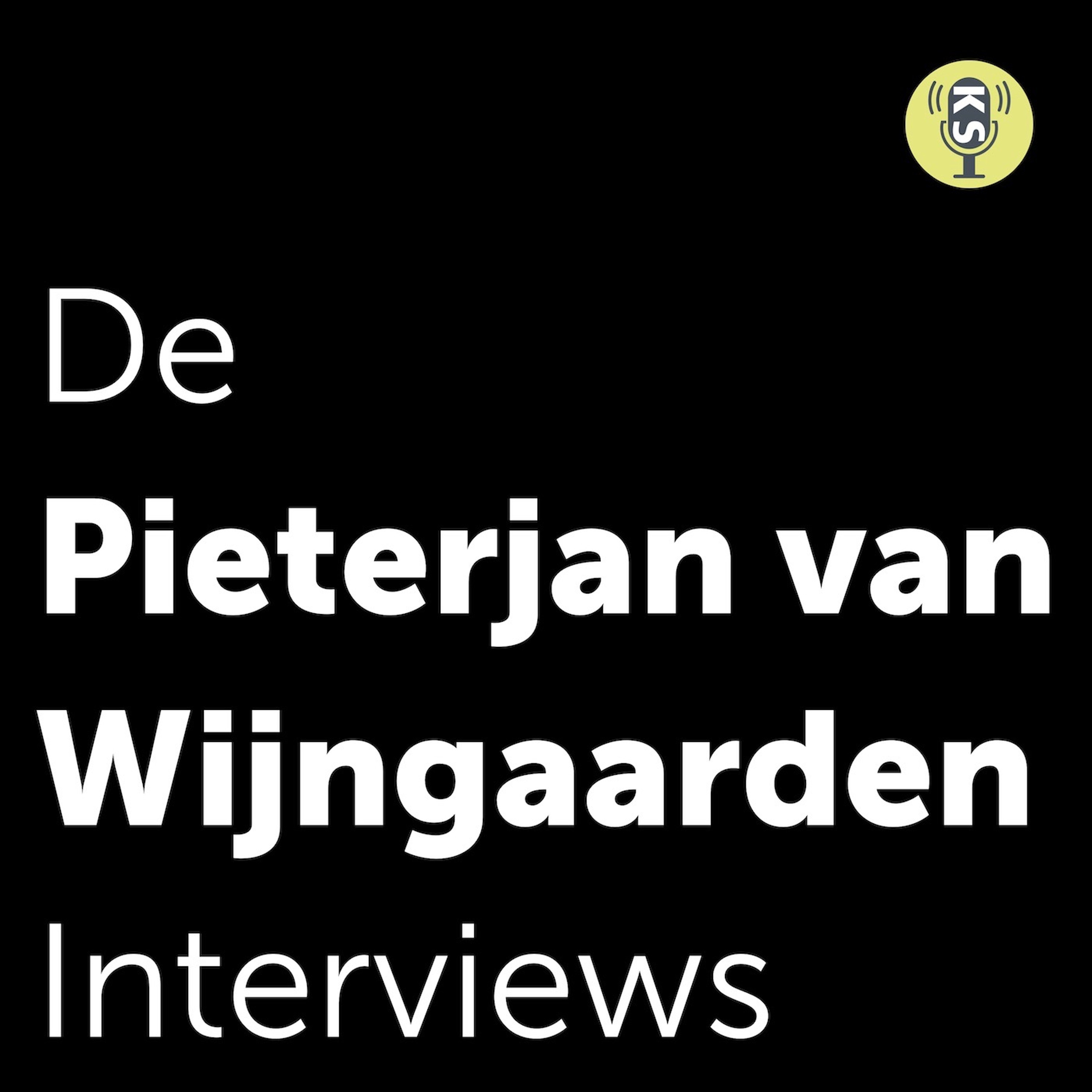 De Pieterjan van Wijngaarden Interviews