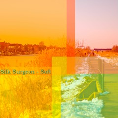 Soft (Feat Silk Surgeon)