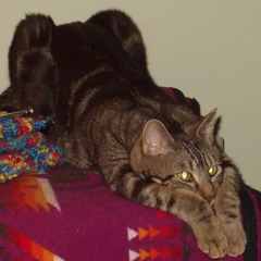 when the moon has come and gone (prod. nowherevalley)