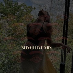 Nedaji - Live Mix @ Adimove event France - House & Techno