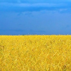 no one wants this war but you