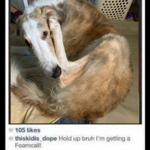ᵍᵒ ᵍᶦⁿᵃ