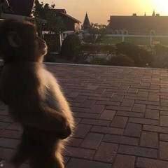 pull up (Prod by Saga Beats)