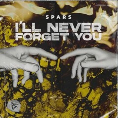 I'll Never Forget You