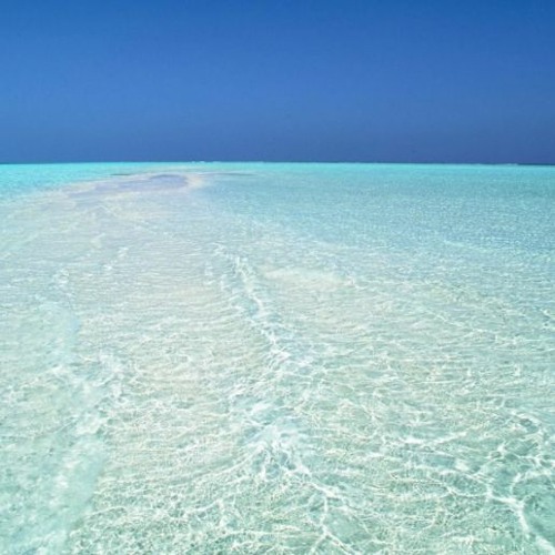 ‎Tramadoldosage world music (FREE DOWNLOAD)