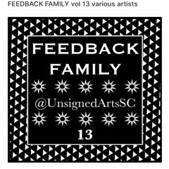 FEEDBACK FAMILY vol 13 various artists