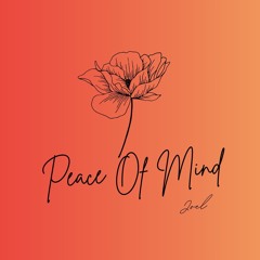 PEACE OF MIND