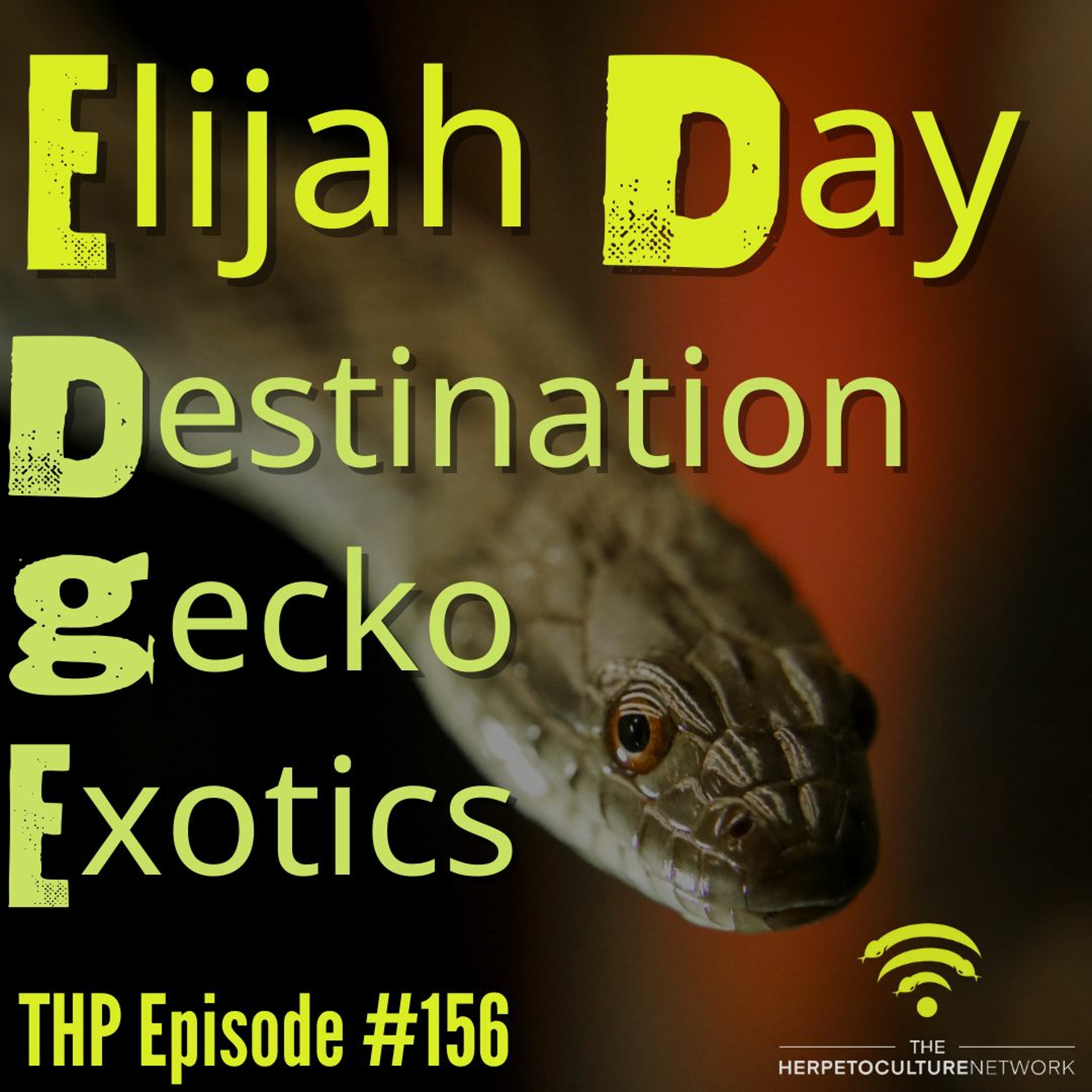 Eli Day of Destination Gecko Exotics