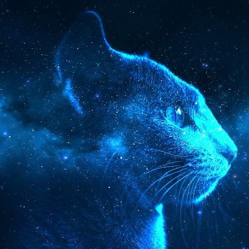 Interdimensional Wacko Cat