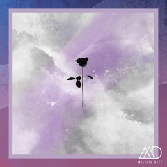 PREMIERE: Opposite Ways & Liam Guest - Thunder (Original Mix) [Black Rose]