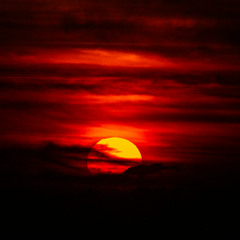 Sun is Dark