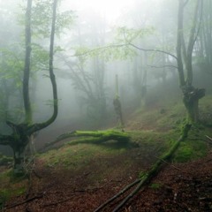 Bichar background pattern 💞FREE DOWNLOAD