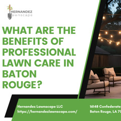 What are the benefits of professional lawn care in Baton Rouge?