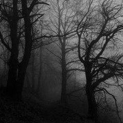 Wood Transition Music, From "DNA"