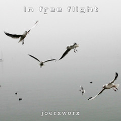 In free flight / 23.2.26