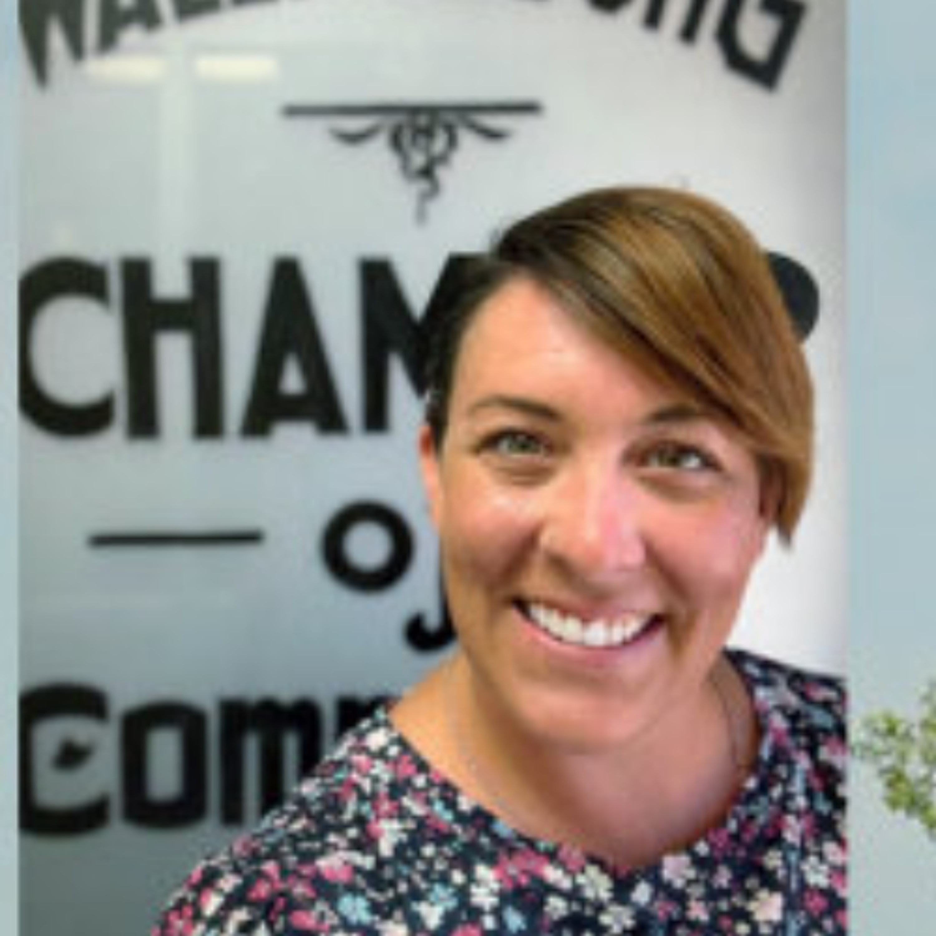 Wallaceburg Chamber launches new initiatives to boost local business episode artwork