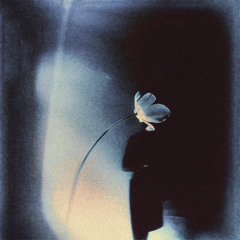 Last Day (prod. 2lz & tow.mmy)