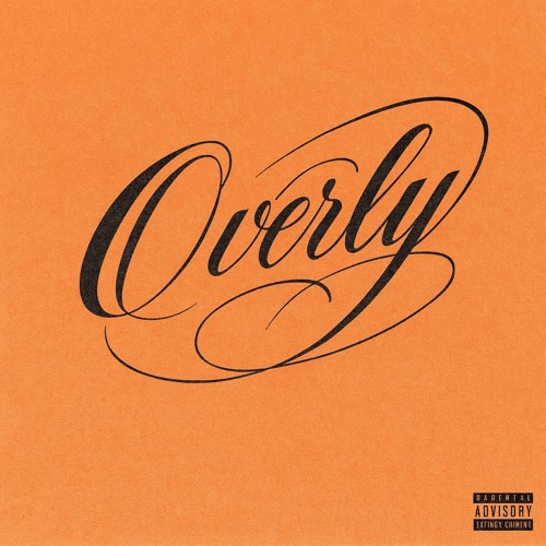 Zayskii - Overly (prod me)