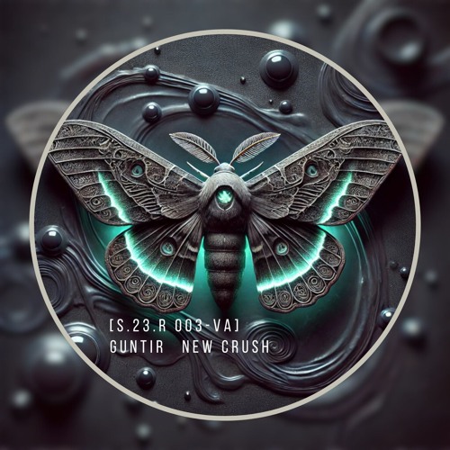 S.23.R [003-VA] Guntir - New Crush
