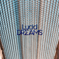 Lucid Dreams #70 by Darius Dudonis