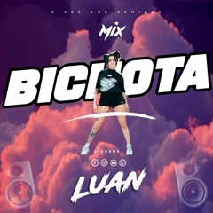 Mix Bichota 2020 (LUAN)