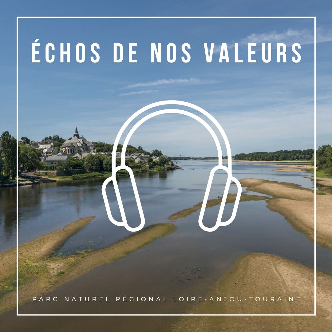 Échos de nos valeurs