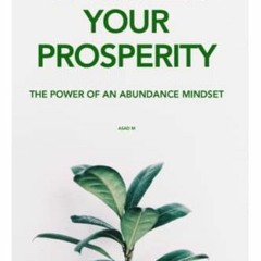 DOWNLOAD KINDLE 💌 Engineer Your Prosperity: The Power of an Abundance Mindset by  As