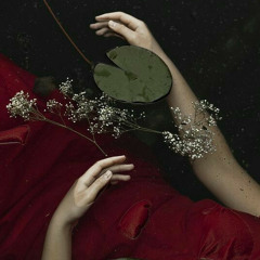 EDITA - PUCAJ MI U SRCE [slowed  reverb]