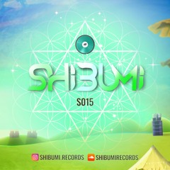 S015 | Shibumi Records Podcast hosted by SoLow Sound System