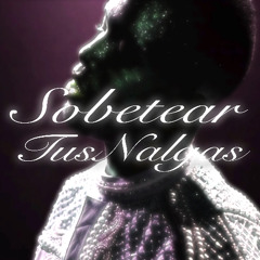 sobetear tus nalgas (FRANK OCEAN "NIKES" EMO JERSEY CLUB FLIP)