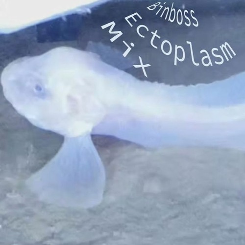 Bᵢₙbₒₛₛ ₑcₜₒₚₗₐₛₘ ₘᵢₓ ༻