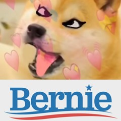 Doge Cat - Say Simp