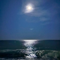 NOVEMBER SESSION’25 [PROGRESSIVE]