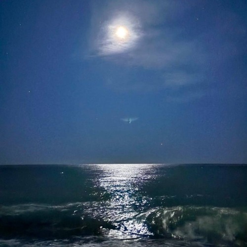 NOVEMBER SESSION’25 [PROGRESSIVE]