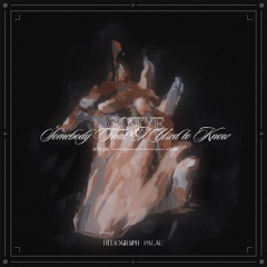 Somebody That I Used To Know (Heliograph & Palau Remix) [FILTERED DUE TO COPYRIGHT] #11 AFRO HOUSE