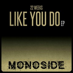 22 Weeks - LIKE YOU DO // MS121