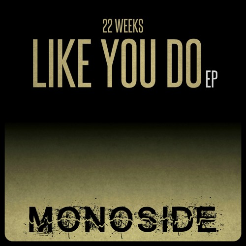 22 Weeks - LIKE YOU DO // MS121