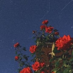 Someone You Loved (Leonardo Barros Remix)