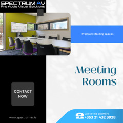 How the Boardroom Shapes Company Culture and Success?