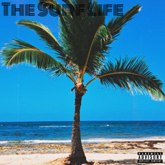 what now? (Prod.suave.thedon) [Feat.555ive]