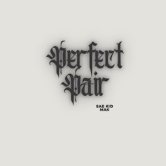 Perfect Pair p. elriy x nine9